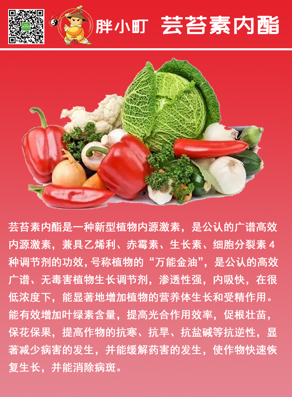 芸苔素内酯