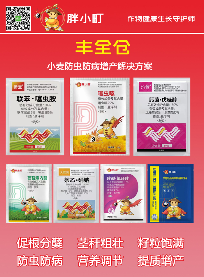 丰全仓