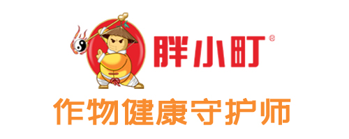 胖小町