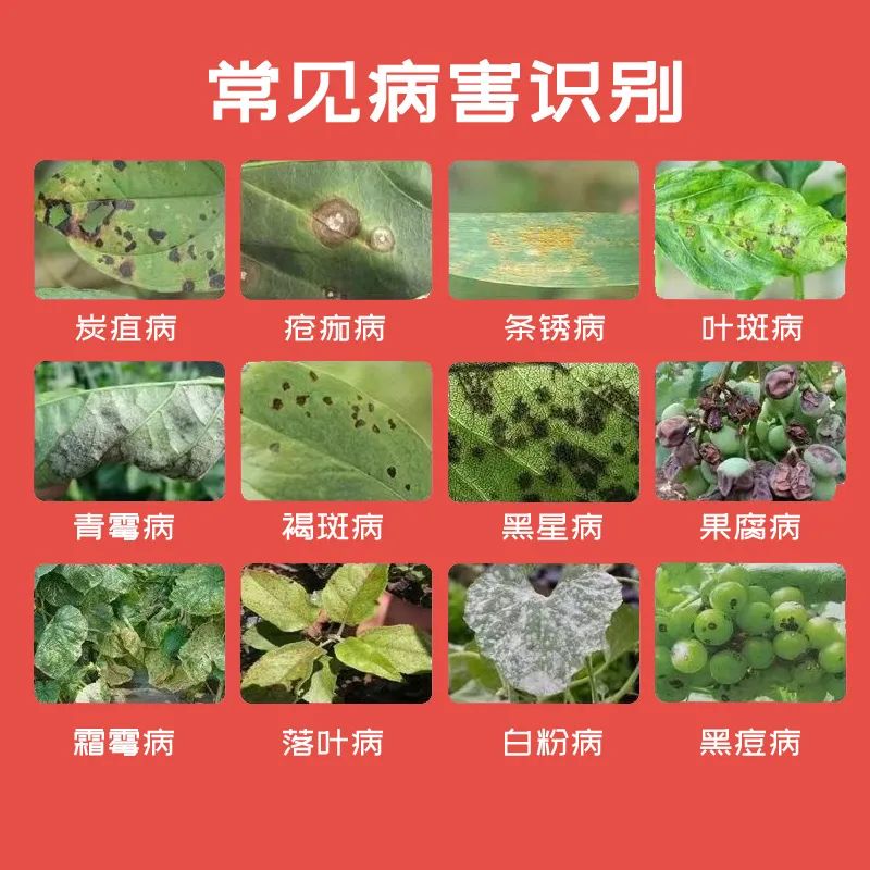 戊唑醇咪鲜胺
