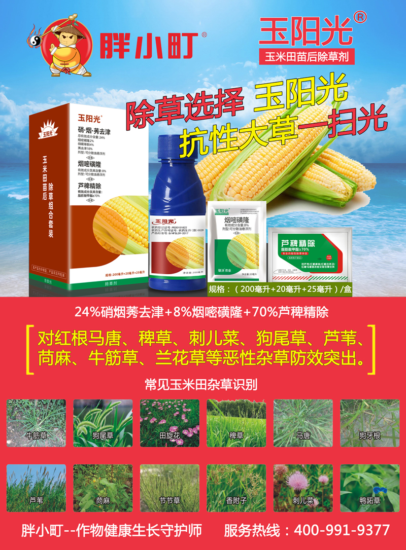 玉阳光
