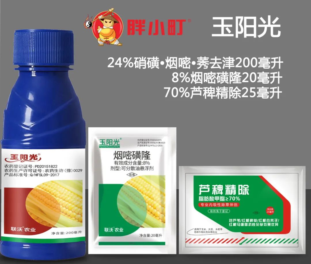玉米田的芦苇用什么除草剂？