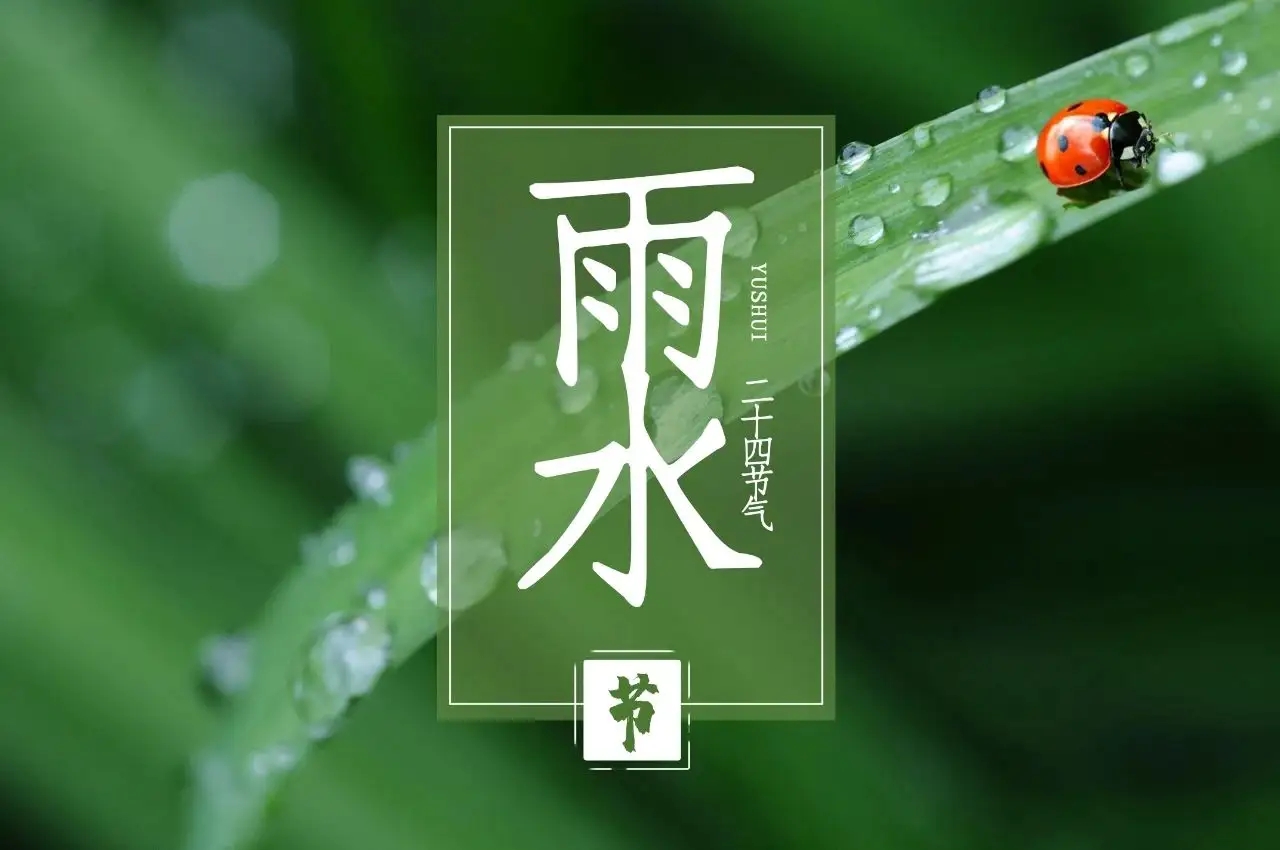 雨水